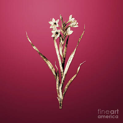 Lilies Paintings - Gold Sword Lily on Viva Magenta n.00560 by Holy Rock Design