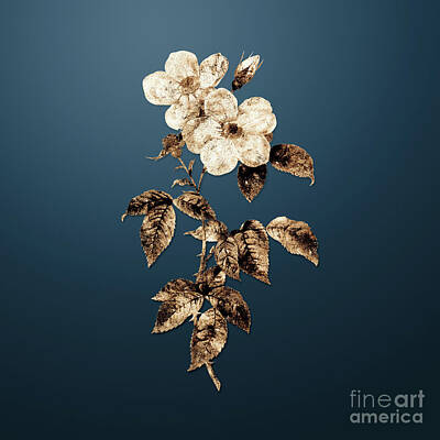 Roses Paintings - Gold Tea Scented Roses Bloom on Dusk Blue n.01204 by Holy Rock Design