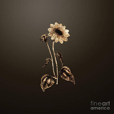 Sunflowers Paintings - Gold Trumpet Stalked Sunflower on Chocolate Brown n.00829 by Holy Rock Design