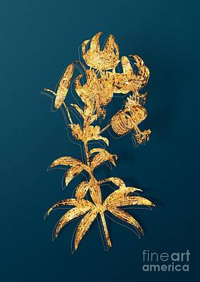 Lilies Mixed Media - Gold Turban Lily Botanical Illustration on Teal by Holy Rock Design