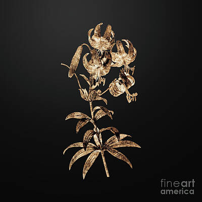 Lilies Royalty-Free and Rights-Managed Images - Gold Turban Lily on Wrought Iron Black n.02909 by Holy Rock Design