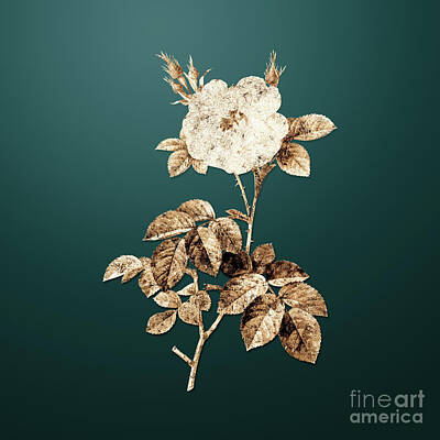 Florals Paintings - Gold White Rose on Dark Teal n.00414 by Holy Rock Design