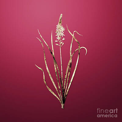 Roses Paintings - Gold Wild Asparagus on Viva Magenta n.01513 by Holy Rock Design