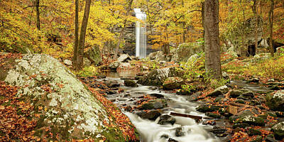Cactus Royalty Free Images - Golden Autumn Light At Cedar Falls - Petit Jean State Park Panorama Royalty-Free Image by Gregory Ballos