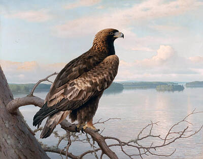 Royalty-Free and Rights-Managed Images - Golden Eagle by a Lake by Ferdinand von Wright