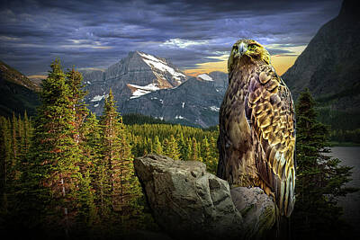 Randall Nyhof Royalty-Free and Rights-Managed Images - Golden Eagle in the Mountains by Randall Nyhof