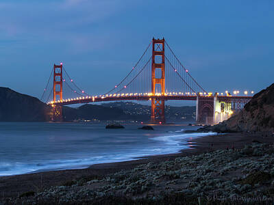 Bear Photography - Golden Gate Bridge 2 by Patti Deters
