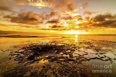 Maps Rights Managed Images - Golden Pupukea Sunset Royalty-Free Image by Phillip Espinasse
