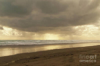 Kim Fearheiley Photography - Golden Squalls Muriwai by Julia Preminger