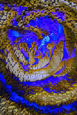Digital Art Rights Managed Images - Golden Tiger Tumble Royalty-Free Image by Greg Burbank