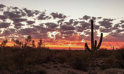 Nighttime Street Photography Rights Managed Images - Good Night Arizona Royalty-Free Image by Rick Furmanek