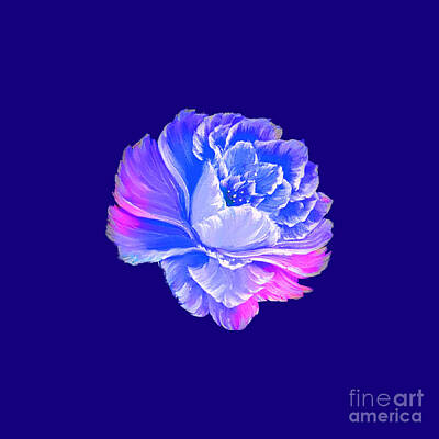 Roses Paintings - Gorgeous rose blue mix on dark blue by Angela Whitehouse