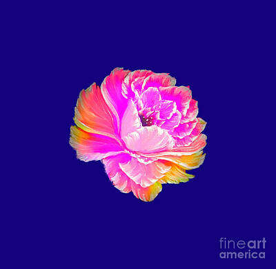 Roses Paintings - Gorgeous rose fantasy pink on navy by Angela Whitehouse