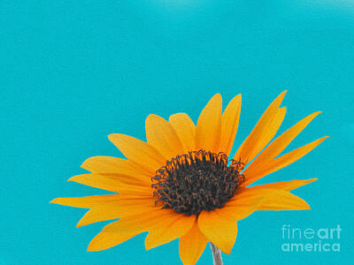 Sunflowers Mixed Media - Gorgeous Sunflower and Blue Sky by Lucia Vega