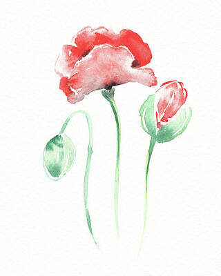 Staff Picks Rosemary Obrien - Graceful Beauty Botanical Watercolor Red Poppies Flowers II by Irina Sztukowski
