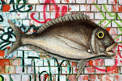 Black And White Beach Royalty Free Images - Graffiti Fish Fishing Pop 6 Royalty-Free Image by Tony Rubino