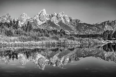 Recently Sold - Reptiles Photos - Grand Teton Wyoming Mountain Reflections - Black and White by Gregory Ballos