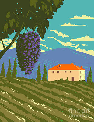 Wine Digital Art Royalty Free Images - Grape Vine and Vineyard in Tuscany Countryside Central Italy WPA Art Deco Poster  Royalty-Free Image by Aloysius Patrimonio