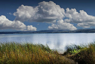 Randall Nyhof Royalty-Free and Rights-Managed Images - Grassy Shore on Glen Lake with Cloudy Blue Sky by Randall Nyhof