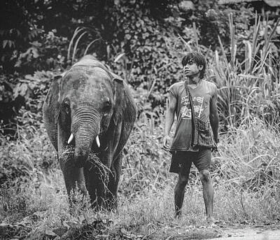 Abstract Animalia Royalty Free Images - Grayscale Photo of Teenage Boy Walking Beside Grazing Baby Elephant Royalty-Free Image by Celestial Images