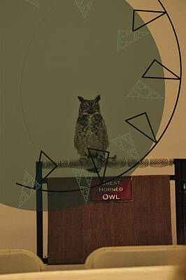 Nfl Team Signs - Great Horned Owl testing 3 layers triangles by Karl Rose