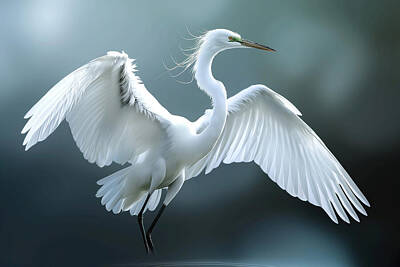Curated Round Beach Towels Royalty Free Images - Great Pose White Egret Royalty-Free Image by Athena Mckinzie