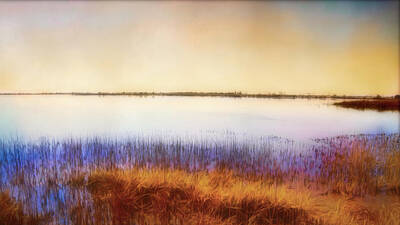 Landscapes Mixed Media - Great Salt Plains Lake Two by Ann Powell