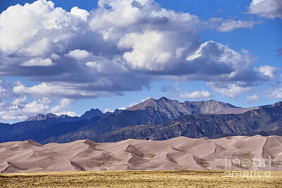 Watercolor Dogs - Great Sand Dunes National Park by Catherine Sherman