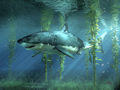Beach Digital Art - Great White Shark in the Seaweed by Daniel Eskridge