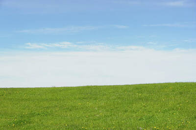 Negative Space - Green Grass and Blue Sky by Scott Norris