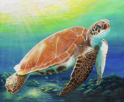 Recently Sold - Reptiles Paintings - Green sea turtle by Debra Dickson