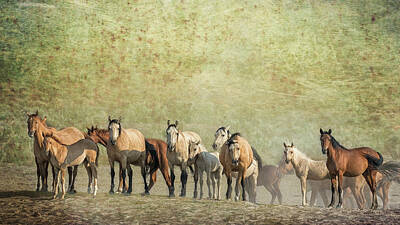 The Masters Romance - Group Portrait with texture - Palomino Butte Herd by Belinda Greb