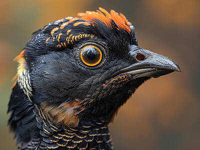 Birds Royalty-Free and Rights-Managed Images - Grouse by Stephen Smith Galleries