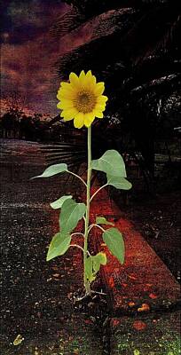 Sunflowers Mixed Media - Grow where you are by Joseph Landreth