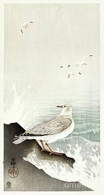 Maps Rights Managed Images - Gull on rock 1900 - 1910 by Ohara Koson 1877-1945 Royalty-Free Image by Shop Ability