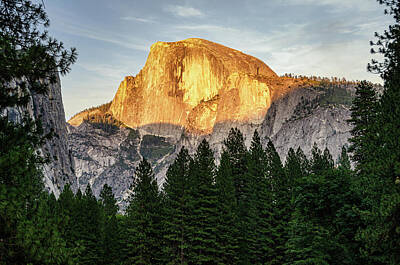Red Foxes Rights Managed Images - Half Dome At Sunset Royalty-Free Image by Joie Cameron-Brown