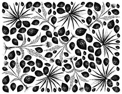 Food And Beverage Drawings - Hand Drawn Background of Saw Palmetto Berries with Coneflowers by Iam Nee