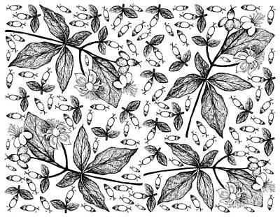 Floral Drawings Rights Managed Images - Hand Drawn Background of Tutsan or Sweet Amber Royalty-Free Image by Iam Nee