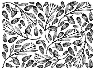 Food And Beverage Drawings - Hand Drawn of Jojoba Nuts and Seeds Background by Iam Nee