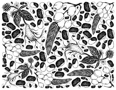 Stunning 1x - Hand Drawn of Wild Almond and Siberian Ginseng by Iam Nee