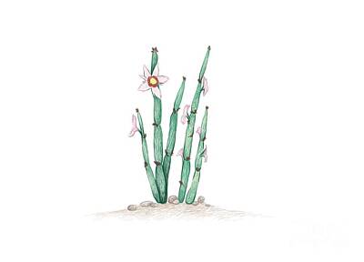 Studio Grafika Zodiac - Hand Drawn Sketch of Euphorbia Antisyphilitica Cactus by Iam Nee