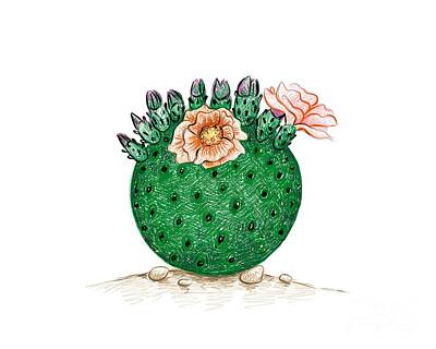 Florals Drawings - Hand Drawn Sketch of Orange Chiffon Cactus by Iam Nee