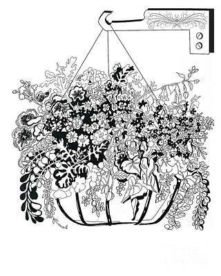 Floral Drawings Rights Managed Images - Hanging basket Royalty-Free Image by Johnnie Stanfield