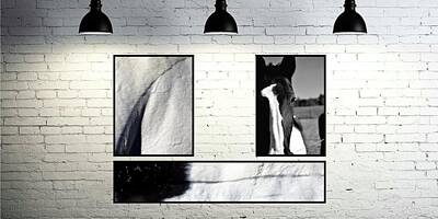 Jerry Sodorff Royalty-Free and Rights-Managed Images - Hanging Print Example.  Horses by Jerry Sodorff