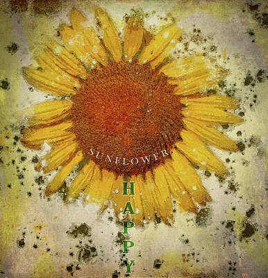 Sunflowers Mixed Media - Happy Sunflower Grunge by Dan Sproul