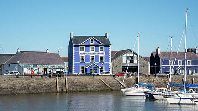 Beach House Shell Fish - Harbourmaster Hotel Aberaeron by Chris Thaxter