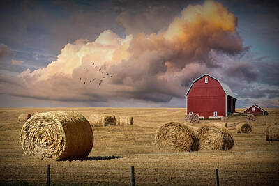 Randall Nyhof Royalty-Free and Rights-Managed Images - Harvest Time with Hay Bales in Farm Field with Red Barn by Randall Nyhof