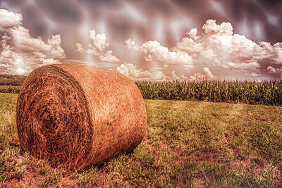 Disney Royalty Free Images - Hay By The Cornfield Royalty-Free Image by Jim Love