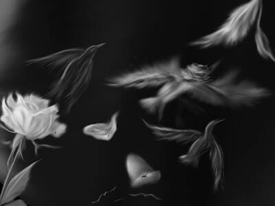 Roses Drawings - Healing by Jill Watson