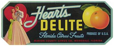 Coffee Signs Rights Managed Images - Hearts Delite Florida Citrus Fruit Label 1930s  Anonymous Royalty-Free Image by Hamza Khan